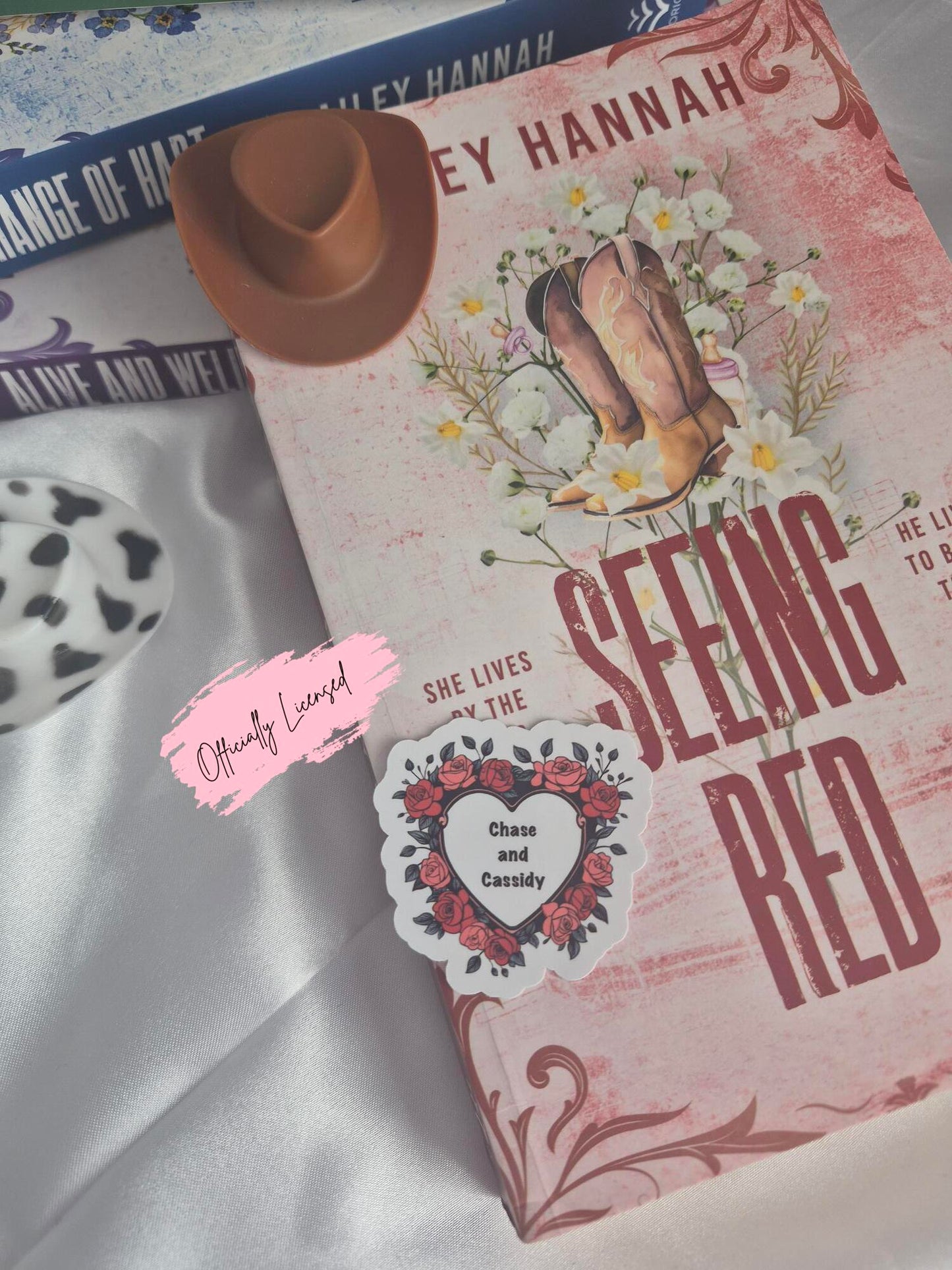 Seeing Red - Chase And Cassidy Sticker image 0