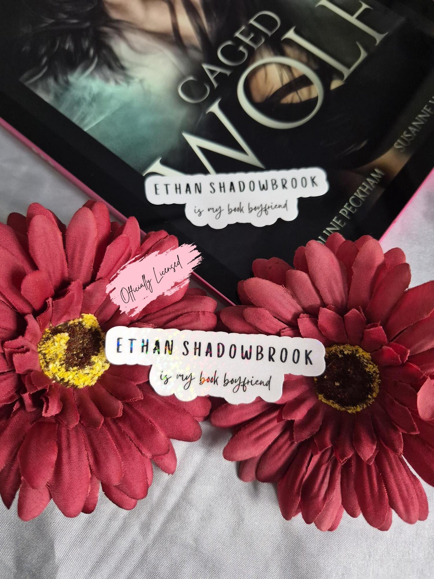Darkmore Penitentiary - Ethan Shadowbrook Is My Book Boyfriend Sticker image 0
