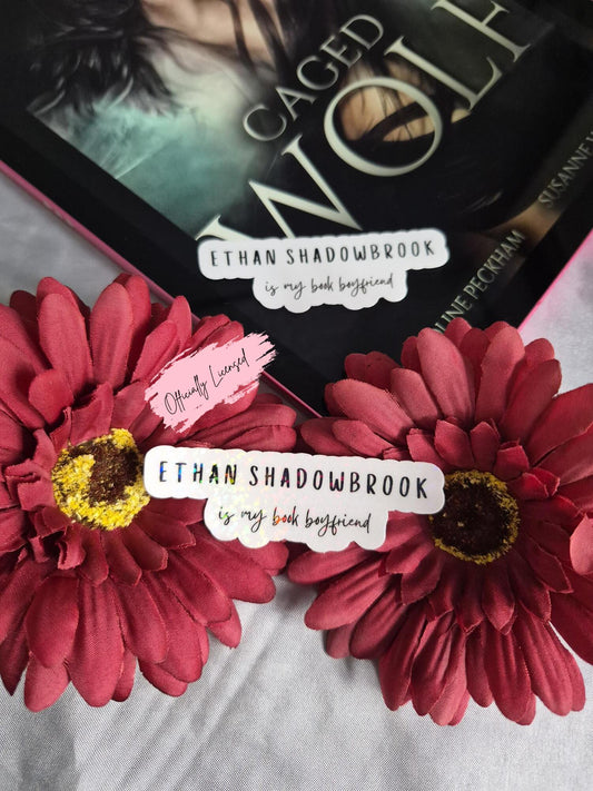 Darkmore Penitentiary - Ethan Shadowbrook Is My Book Boyfriend Sticker image 0